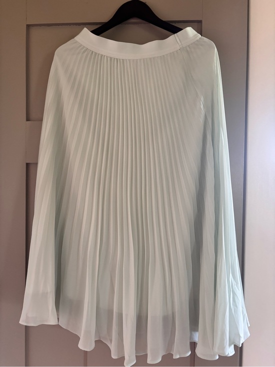 Gentle Fawn Dresses & Skirts - Gentle Fawn Mint Green Pleated Skater Skirt